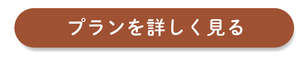 プランを詳しく見る